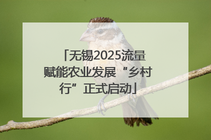 无锡2025流量赋能农业发展“乡村行”正式启动