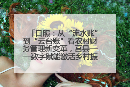 日照：从“流水账”到“云台账”看农村财务管理新变革，莒县——数字赋能激活乡村振兴“一池春水”