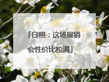 日照：这场展销会性价比拉满