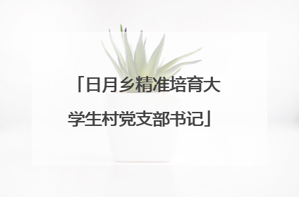 日月乡精准培育大学生村党支部书记