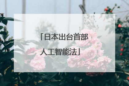 日本出台首部人工智能法