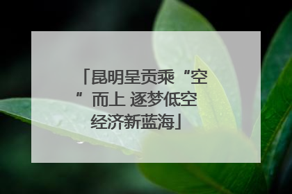 昆明呈贡乘“空”而上 逐梦低空经济新蓝海