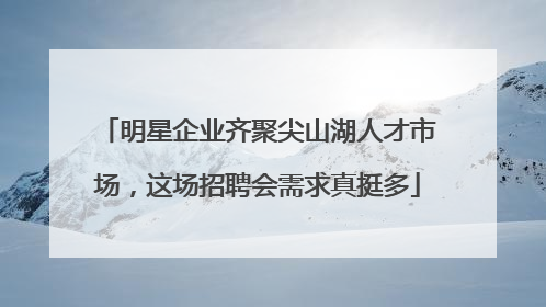 明星企业齐聚尖山湖人才市场，这场招聘会需求真挺多