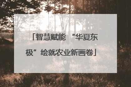 智慧赋能 “华夏东极”绘就农业新画卷