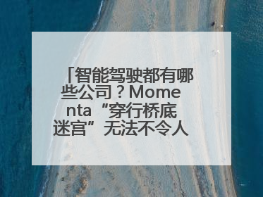 智能驾驶都有哪些公司？Momenta“穿行桥底迷宫”无法不令人印象深刻！