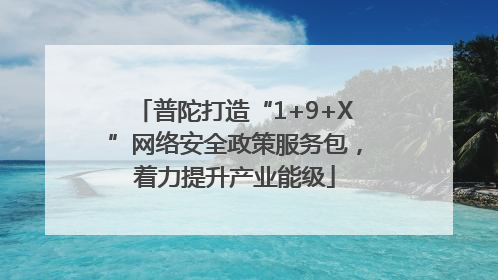 普陀打造“1+9+X”网络安全政策服务包，着力提升产业能级