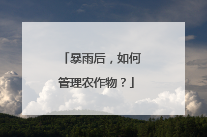 暴雨后，如何管理农作物？