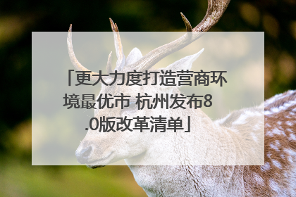 更大力度打造营商环境最优市 杭州发布8.0版改革清单