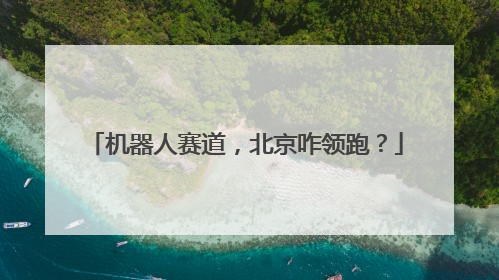 机器人赛道，北京咋领跑？