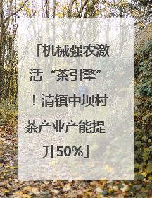 机械强农激活“茶引擎”！清镇中坝村茶产业产能提升50%