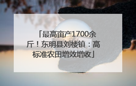 最高亩产1700余斤！东明县刘楼镇：高标准农田增效增收