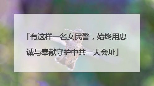 有这样一名女民警，始终用忠诚与奉献守护中共一大会址