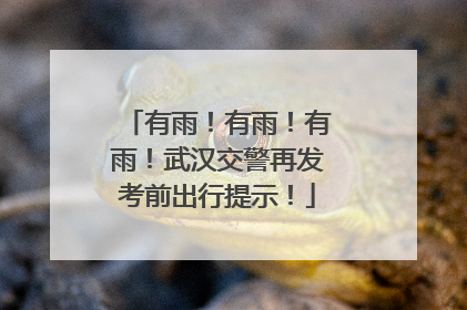 有雨！有雨！有雨！武汉交警再发考前出行提示！