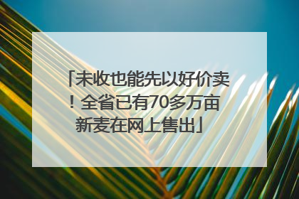 未收也能先以好价卖！全省已有70多万亩新麦在网上售出