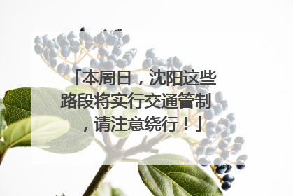 本周日，沈阳这些路段将实行交通管制，请注意绕行！