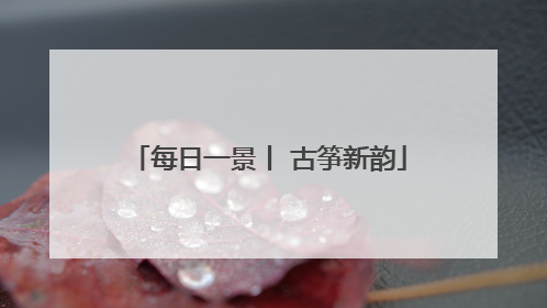每日一景丨 古筝新韵