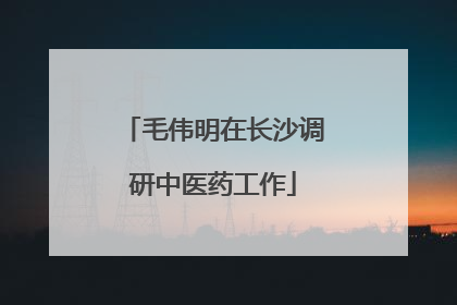 毛伟明在长沙调研中医药工作