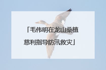 毛伟明在龙山桑植慈利指导防汛救灾