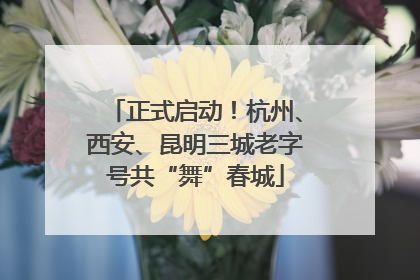 正式启动！杭州、西安、昆明三城老字号共“舞”春城