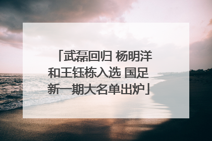武磊回归 杨明洋和王钰栋入选 国足新一期大名单出炉