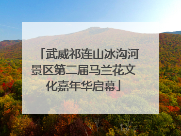武威祁连山冰沟河景区第二届马兰花文化嘉年华启幕