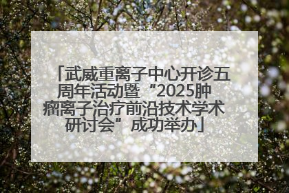 武威重离子中心开诊五周年活动暨“2025肿瘤离子治疗前沿技术学术研讨会”成功举办