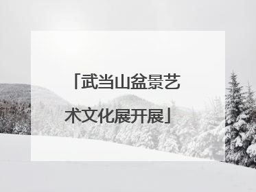 武当山盆景艺术文化展开展