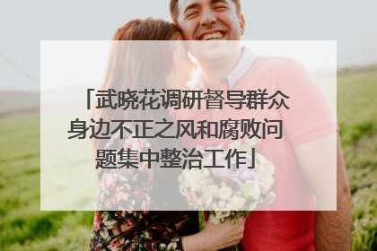 武晓花调研督导群众身边不正之风和腐败问题集中整治工作