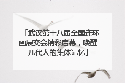 武汉第十八届全国连环画展交会精彩启幕，唤醒几代人的集体记忆