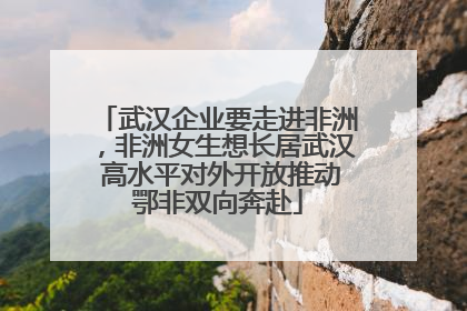 武汉企业要走进非洲，非洲女生想长居武汉 高水平对外开放推动鄂非双向奔赴