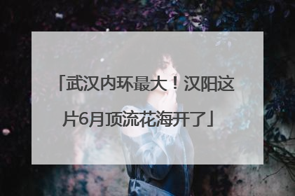 武汉内环最大！汉阳这片6月顶流花海开了