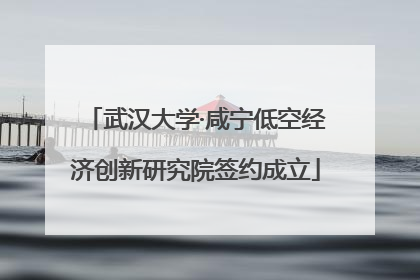 武汉大学·咸宁低空经济创新研究院签约成立