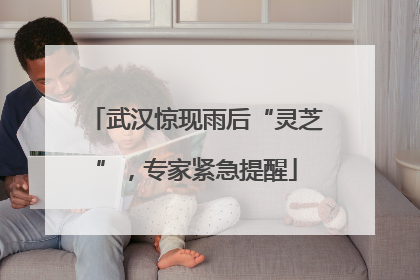 武汉惊现雨后“灵芝”，专家紧急提醒