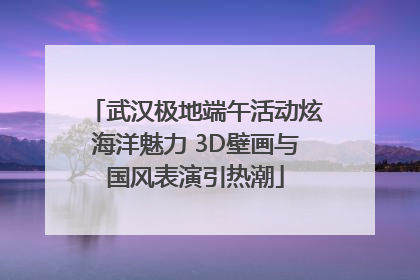 武汉极地端午活动炫海洋魅力 3D壁画与国风表演引热潮