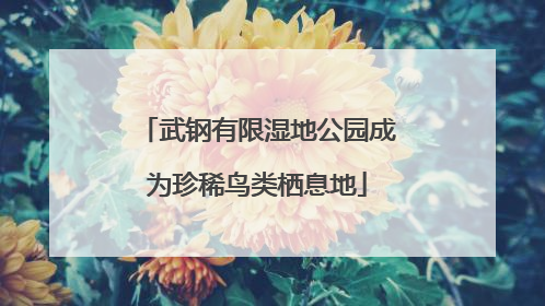 武钢有限湿地公园成为珍稀鸟类栖息地
