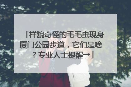 样貌奇怪的毛毛虫现身厦门公园步道，它们是啥？专业人士提醒→