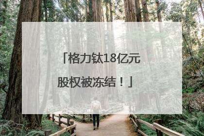 格力钛18亿元股权被冻结！