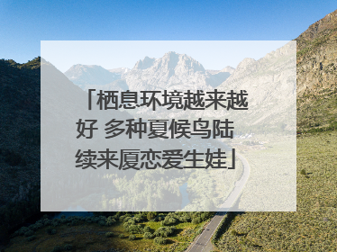 栖息环境越来越好 多种夏候鸟陆续来厦恋爱生娃