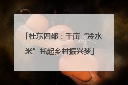 桂东四都：千亩“冷水米”托起乡村振兴梦