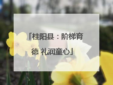 桂阳县：阶梯育德 礼润童心