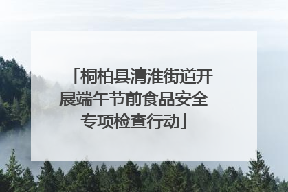 桐柏县清淮街道开展端午节前食品安全专项检查行动
