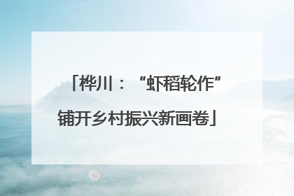 桦川：“虾稻轮作”铺开乡村振兴新画卷