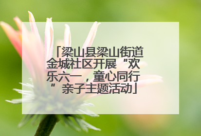 梁山县梁山街道金城社区开展“欢乐六一，童心同行”亲子主题活动