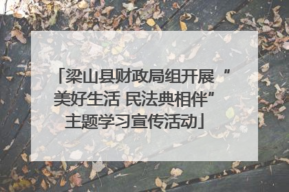 梁山县财政局组开展“美好生活 民法典相伴”主题学习宣传活动