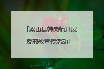 梁山县韩岗镇开展反邪教宣传活动