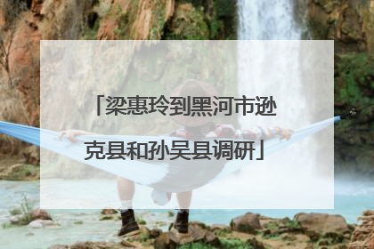 梁惠玲到黑河市逊克县和孙吴县调研