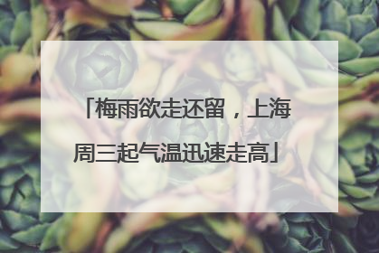 梅雨欲走还留，上海周三起气温迅速走高