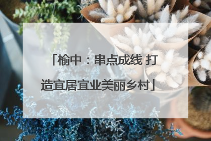 榆中：串点成线 打造宜居宜业美丽乡村