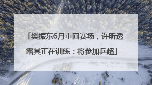 樊振东6月重回赛场，许昕透露其正在训练：将参加乒超
