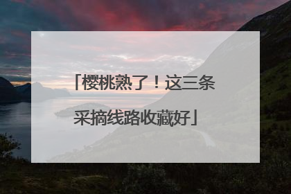 樱桃熟了！这三条采摘线路收藏好
